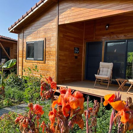 Lemon Garden Lodge Çıralı Exterior foto