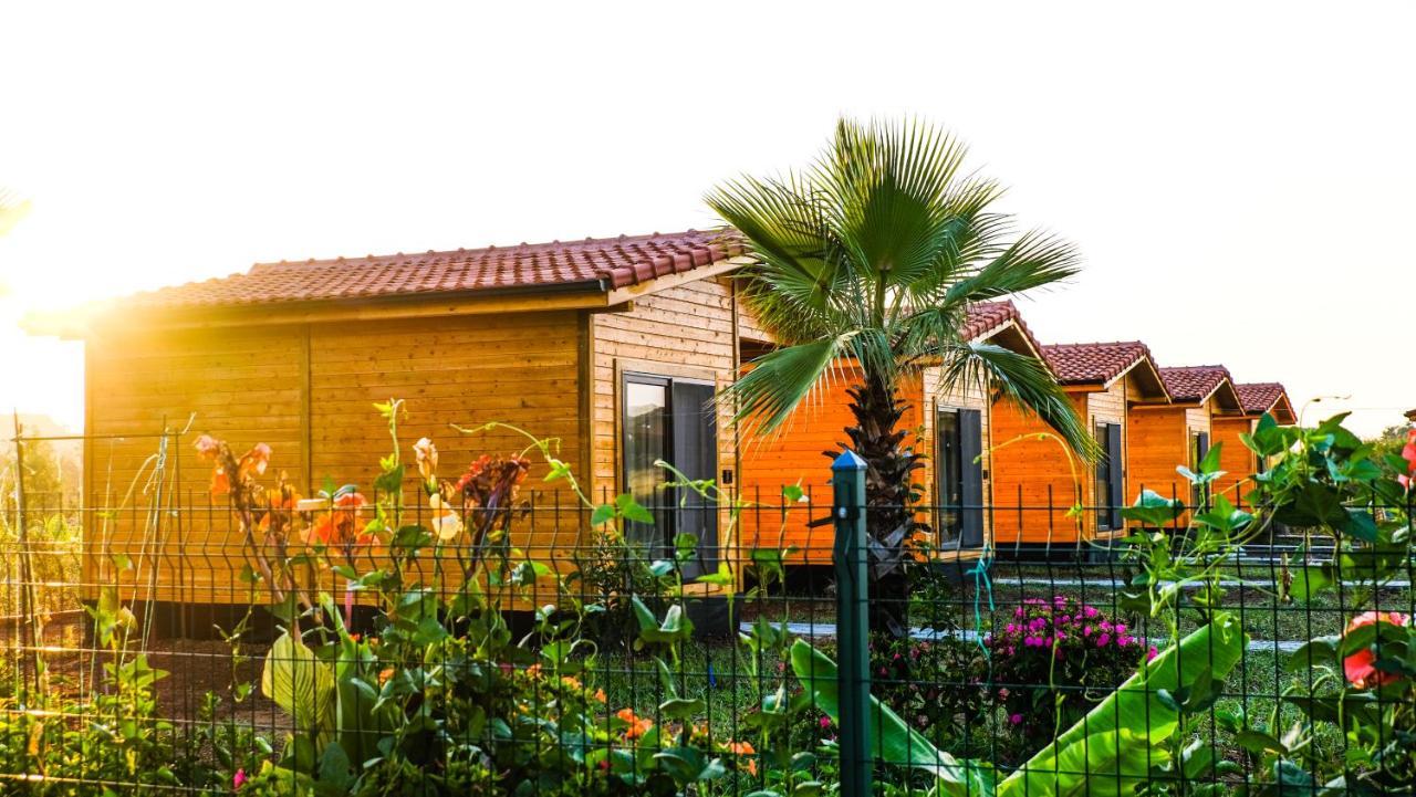Lemon Garden Lodge Çıralı Exterior foto