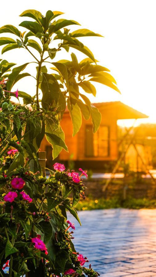 Lemon Garden Lodge Çıralı Exterior foto