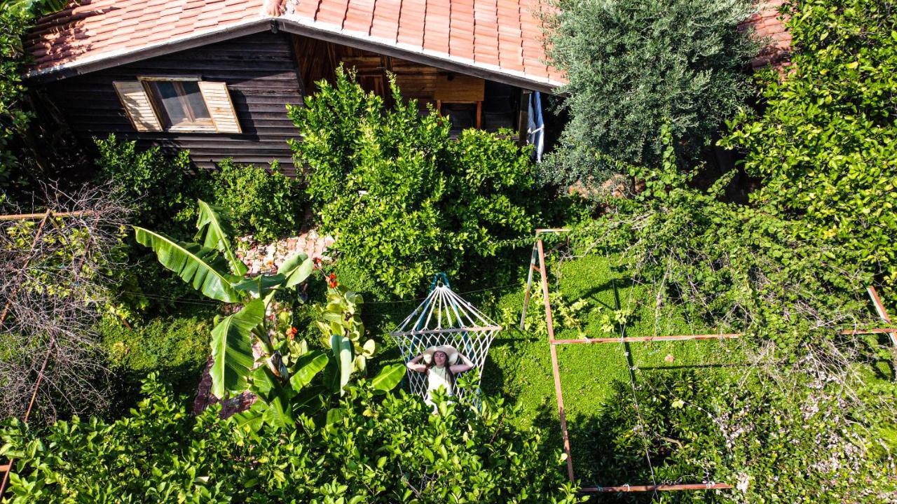 Lemon Garden Lodge Çıralı Exterior foto