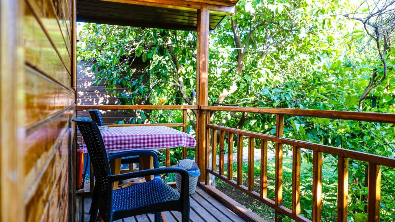 Lemon Garden Lodge Çıralı Exterior foto
