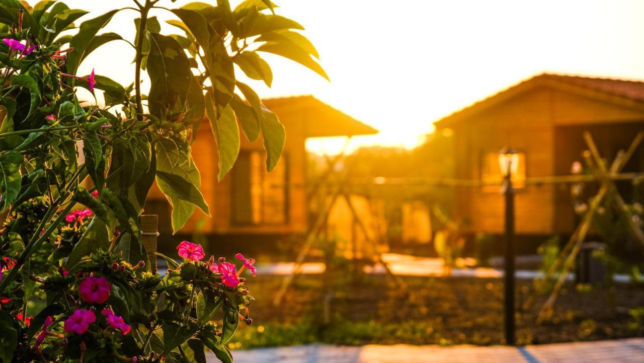 Lemon Garden Lodge Çıralı Exterior foto