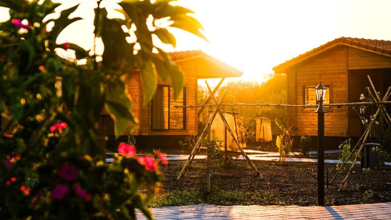 Lemon Garden Lodge Çıralı Exterior foto