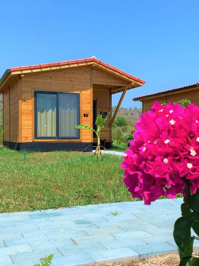 Lemon Garden Lodge Çıralı Exterior foto