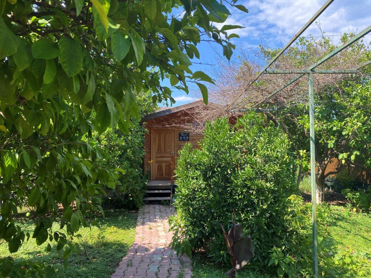 Lemon Garden Lodge Çıralı Exterior foto