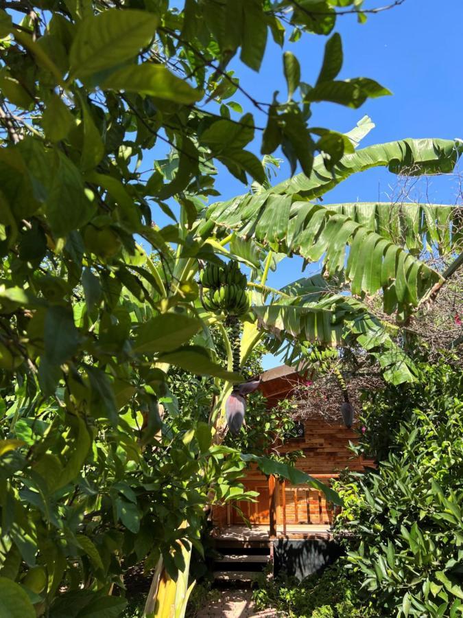 Lemon Garden Lodge Çıralı Exterior foto