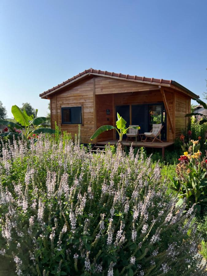 Lemon Garden Lodge Çıralı Exterior foto