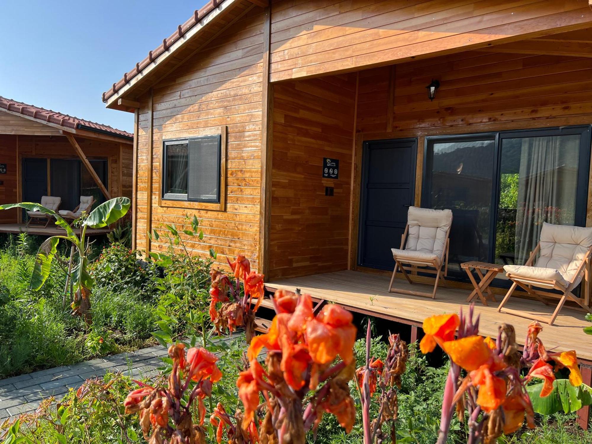 Lemon Garden Lodge Çıralı Exterior foto