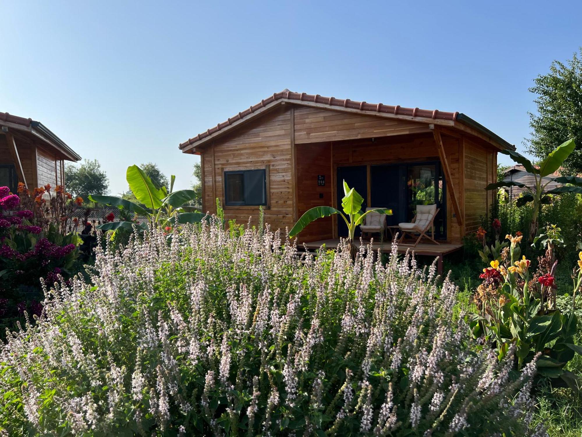 Lemon Garden Lodge Çıralı Exterior foto