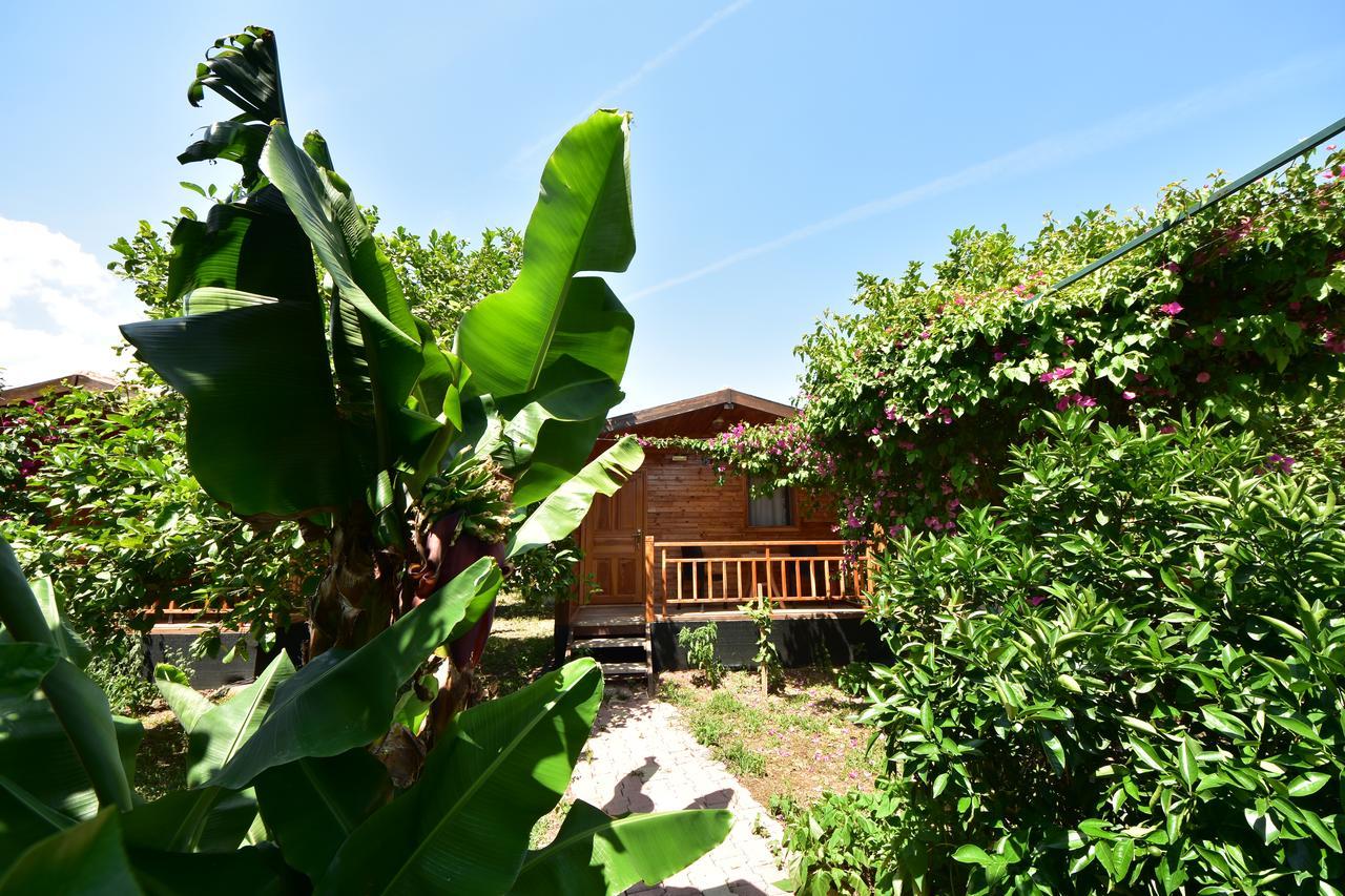 Lemon Garden Lodge Çıralı Exterior foto