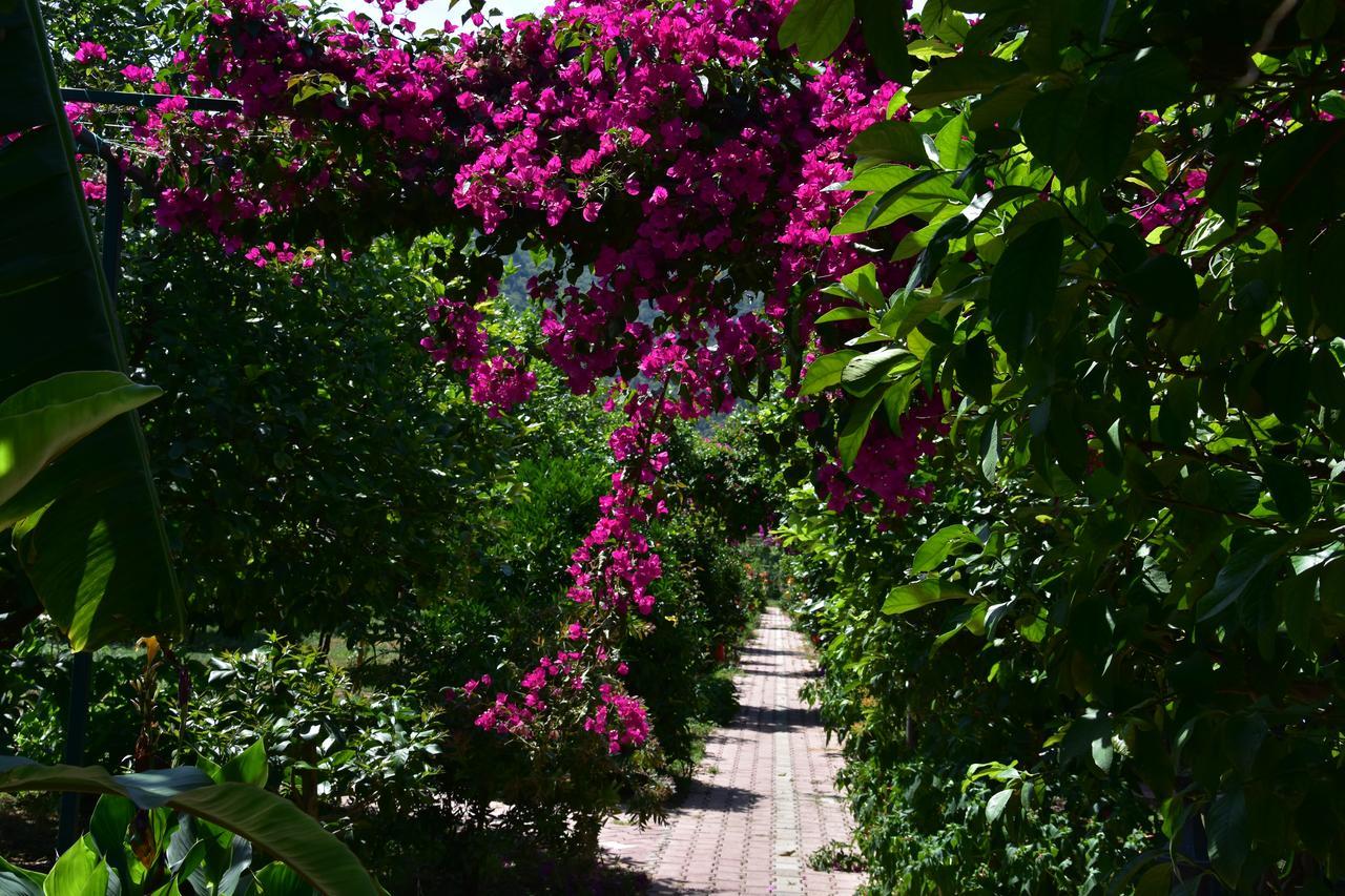 Lemon Garden Lodge Çıralı Exterior foto
