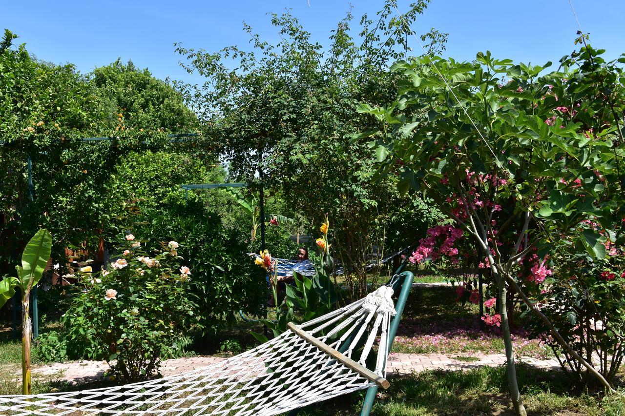 Lemon Garden Lodge Çıralı Exterior foto